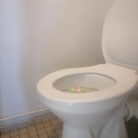 Carlin Apartment